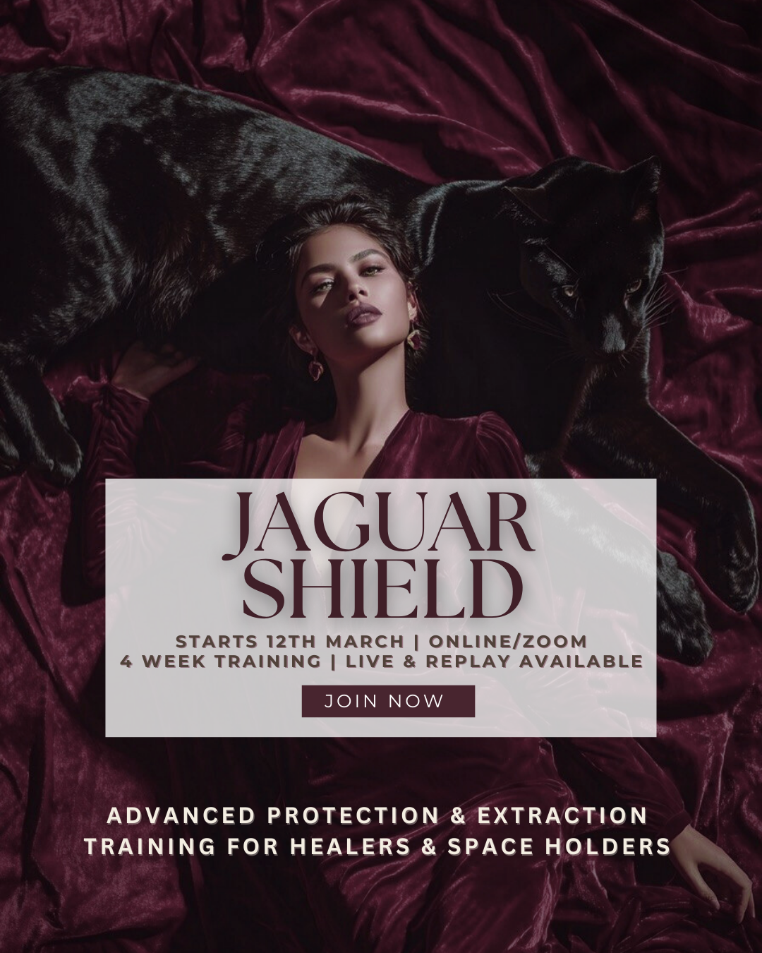 Jaguar Shield | Energy Protection & Extraction Mastery for Healers